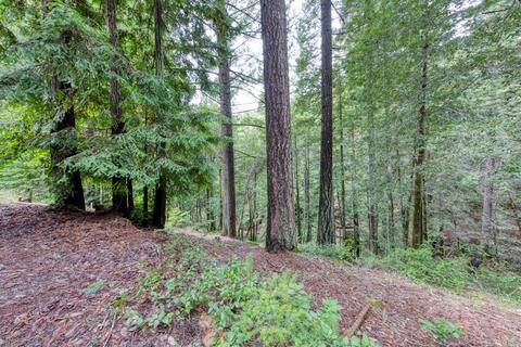24323 Lilac Rd, Willits, CA 95490 photo 20