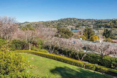 6 Buckeye Rd, Belvedere, CA 94920 photo 10