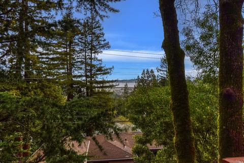 200 Morningside Dr, Corte Madera, CA 94925 photo 24