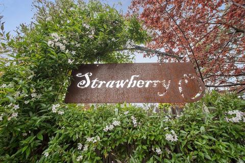 100 E Strawberry Dr, Mill Valley, CA 94941 photo 36