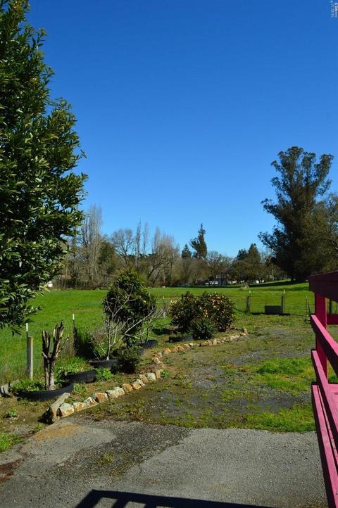 8516 Cypress Ave, Cotati, CA 94931 photo 18