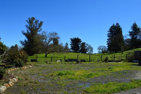 8516 Cypress Ave, Cotati, CA 94931 photo 13