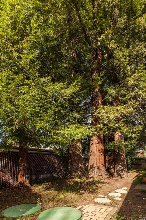 31 Willotta Dr, Fairfield, CA 94534 photo 29