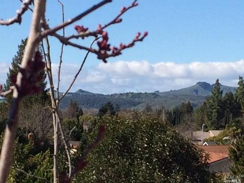 Undisclosed, Fairfield, CA 94534 photo 50