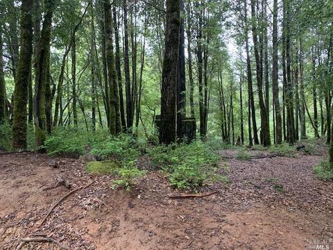 24389 Lilac Rd, Willits, CA 95490 photo 1