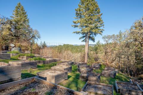 17801 Shafer Ranch Rd, Willits, CA 95490 photo 27