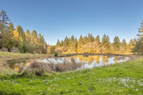 17801 Shafer Ranch Rd, Willits, CA 95490 photo 24
