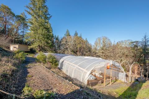 17801 Shafer Ranch Rd, Willits, CA 95490 photo 28
