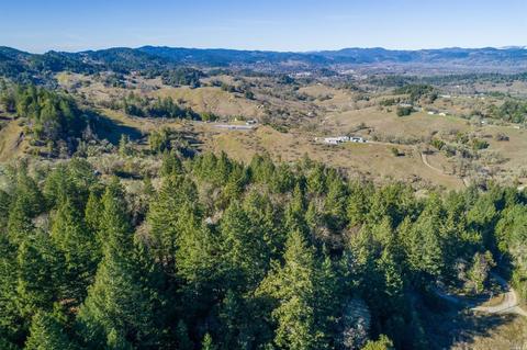 17801 Shafer Ranch Rd, Willits, CA 95490 photo 35