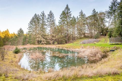 17801 Shafer Ranch Rd, Willits, CA 95490 photo 33