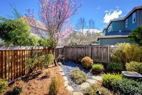 8 Palmer Dr, Novato, CA 94949 photo 41