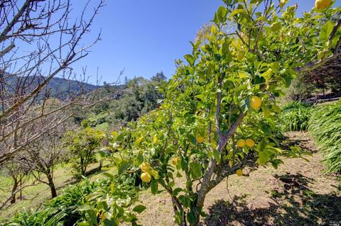 75 Eagle Dr, Novato, CA 94949 photo 29
