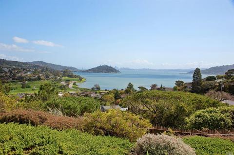 6 Cecilia Ct, Tiburon, CA 94920 photo 14