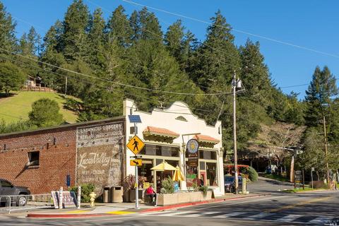 35 Lagunitas Rd, Lagunitas, CA 94938 photo 45