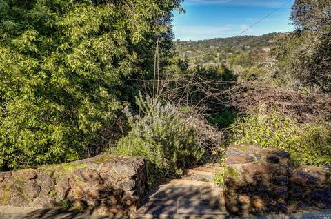 7 Willow Hill Rd, Ross, CA 94957 photo 45