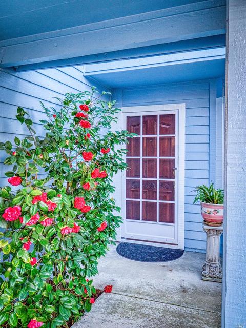 163 Leeward Ct, Vallejo, CA 94591 photo 3