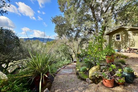 175 Chestnut Ave, Sonoma, CA 95476 photo 24