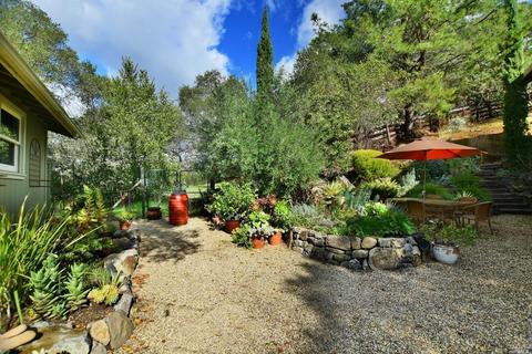 175 Chestnut Ave, Sonoma, CA 95476 photo 20