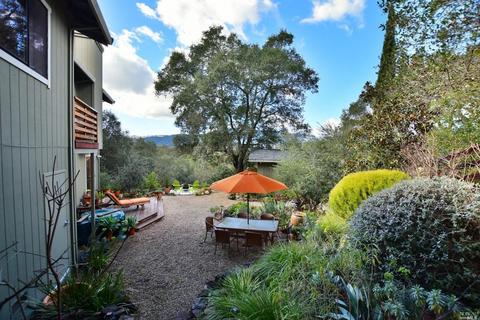175 Chestnut Ave, Sonoma, CA 95476 photo 21
