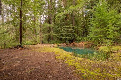 32370 Timberline Rd, Willits, CA 95490 photo 43