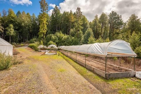 32370 Timberline Rd, Willits, CA 95490 photo 37