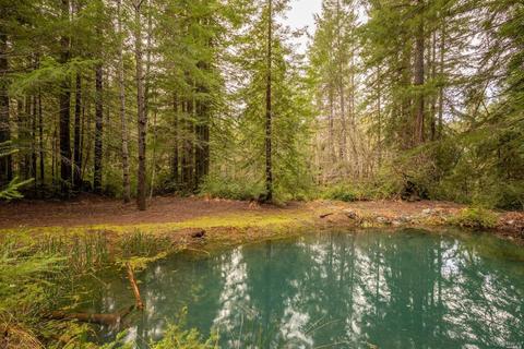 32370 Timberline Rd, Willits, CA 95490 photo 42
