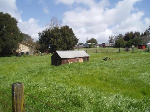 1730 Bodega Ave, Petaluma, CA 94952 photo 12