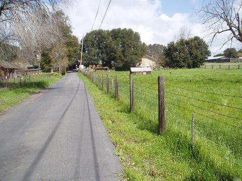 1730 Bodega Ave, Petaluma, CA 94952 photo 10