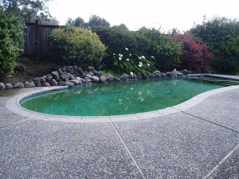 1730 Bodega Ave, Petaluma, CA 94952 photo 7