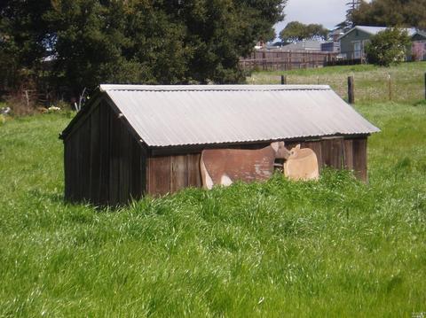 1730 Bodega Ave, Petaluma, CA 94952 photo 13
