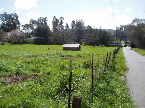 1730 Bodega Ave, Petaluma, CA 94952 photo 14