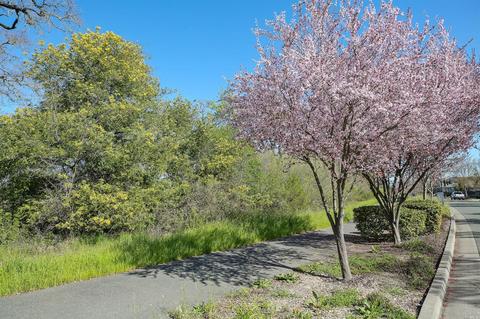 8065 Leno Dr, Windsor, CA 95492 photo 26