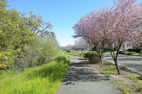 8065 Leno Dr, Windsor, CA 95492 photo 27