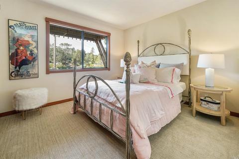 8 Deer Hill Ct, Mill Valley, CA 94941 photo 24