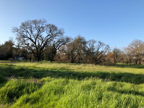 1875 Willowside Rd, Santa Rosa, CA 95401 photo 8