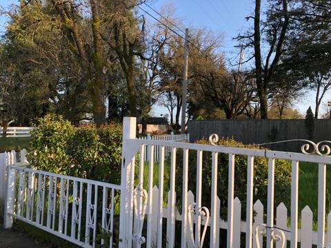 1875 Willowside Rd, Santa Rosa, CA 95401 photo 4