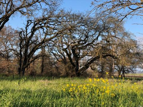 1875 Willowside Rd, Santa Rosa, CA 95401 photo 29