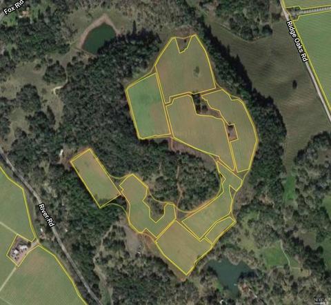 22500 River Rd, Geyserville, CA 95441 photo 23