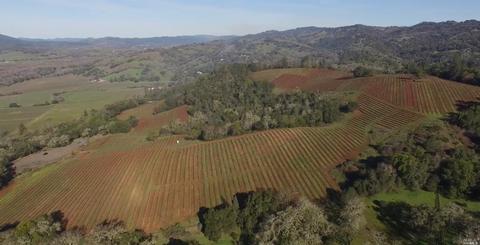 22500 River Rd, Geyserville, CA 95441 photo 22