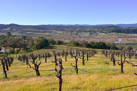 22500 River Rd, Geyserville, CA 95441 photo 8