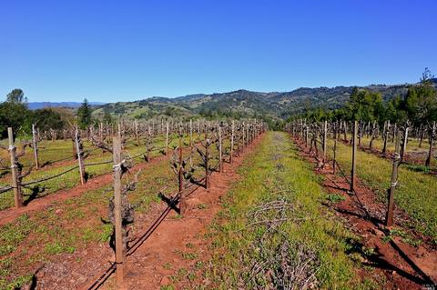 22500 River Rd, Geyserville, CA 95441 photo 10