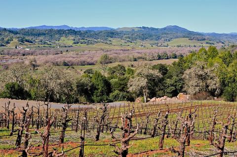 22500 River Rd, Geyserville, CA 95441 photo 7
