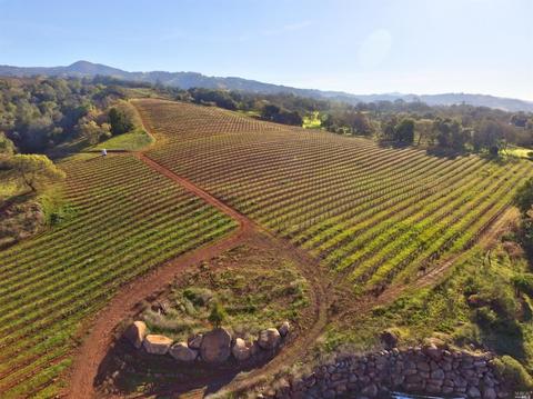 22500 River Rd, Geyserville, CA 95441 photo 6