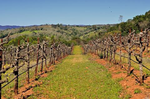 22500 River Rd, Geyserville, CA 95441 photo 13