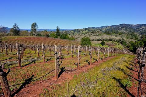 22500 River Rd, Geyserville, CA 95441 photo 9