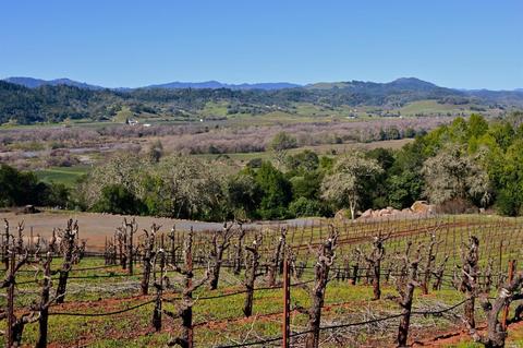 22500 River Rd, Geyserville, CA 95441 photo 18