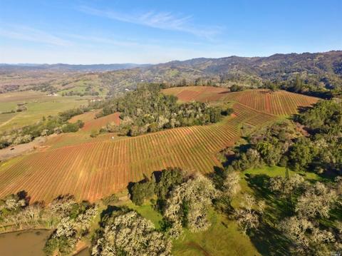 22500 River Rd, Geyserville, CA 95441 photo 5