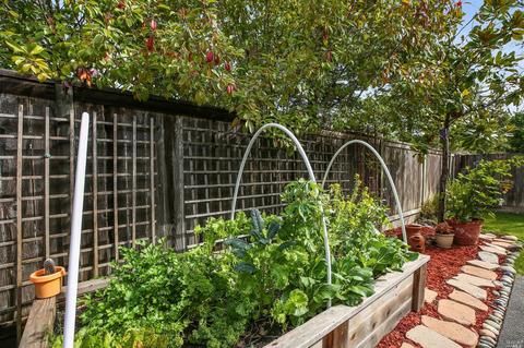 143 Bouquet Cir, Windsor, CA 95492 photo 21