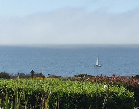 796 Gull Dr, Bodega Bay, CA 94923 photo 28
