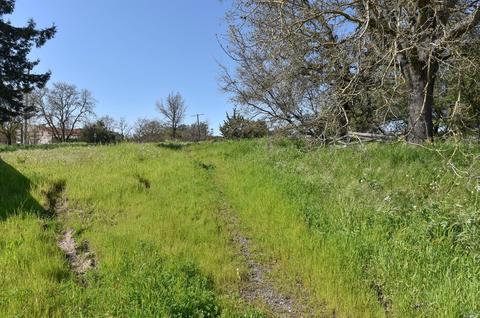 16 Bernice Ct, Petaluma, CA 94952 photo 18